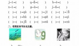 一年级语文拼音视频,一年级语文拼音视频概览