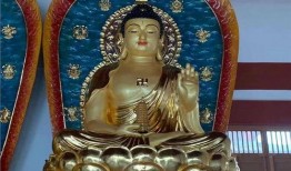 佛像视频,穿越千年的智慧之光