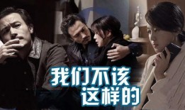 我们不该这样的视频,我们为何不该如此行为——揭秘“不该这样的视频”背后的警示