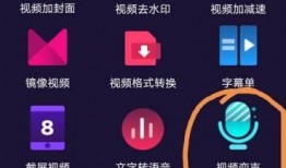 怎么录制视频中的声音,实用技巧揭秘