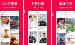 做菜视频app,跟随热门做菜视频APP，轻松学会各式美味佳肴