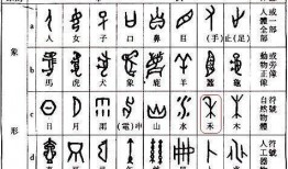 禾字书写视频,一笔一划间感受农耕文化之美