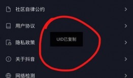 抖音视频怎么弄,[视频主题关键词]深度解析