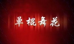 双节棍平舞花教学视频,解锁流畅舞步，尽享武术魅力