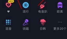 抖音视频怎么弄,[视频主题关键词]深度解析
