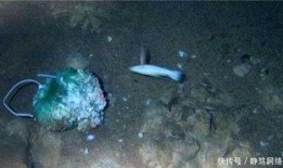 蛟龙号发现海底人视频,揭秘海底神秘人影之谜