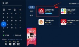 中央视频下载,揭秘高效获取精彩内容的秘密通道