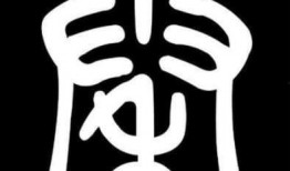 禾字书写视频,一笔一划间感受农耕文化之美
