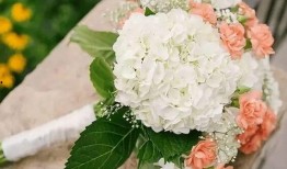 结婚绣球怎么做视频,手把手教你制作浪漫结婚绣球视频教程