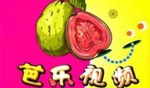 芭乐视频.,揭秘热门短视频背后的魅力与影响力