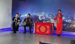 阳城鼓书视频播放,传承千年的民间艺术魅力展现
