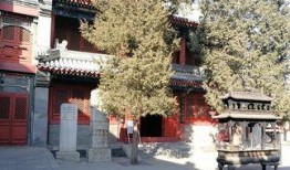 白云观视频,千年古观的历史传承与神秘文化