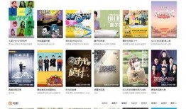 试看20秒视频非会员,非会员也能享受的精彩瞬间