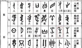 禾字书写视频,一笔一划间感受农耕文化之美