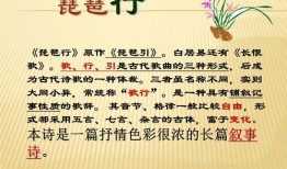 琵琶行教学视频,领略古典音乐魅力，探寻千年文化传承
