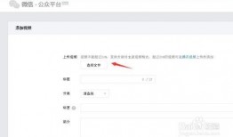 微信公众号发布视频,不容错过的精彩瞬间大盘点