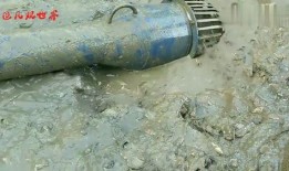 抽干水塘抓大鱼视频,轻松捕捉大鱼技巧揭秘
