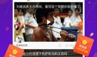 波波视频老范本,揭秘经典短视频制作技巧