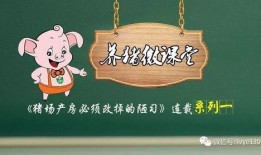 猪的人工取精操作视频,猪人工取精操作步骤详解