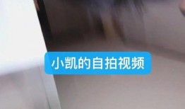 自拍视频在线今日更新,捕捉生活瞬间，展现个性风采