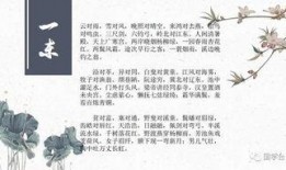 声律启蒙一东朗诵视频,古韵悠扬，韵味无穷