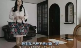 日本深夜福利视频合集,日本精选视频合集盘点