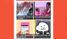 转发视频,一场视觉盛宴的诞生