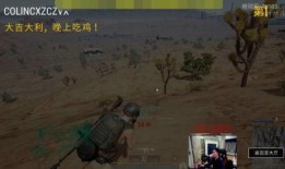 蛇吃鸡视频,一场惊心动魄的生态对决