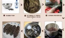 海参处理方法视频,视频教程详解
