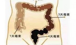 便秘痛苦小视频,揭秘肠道不适的真实体验