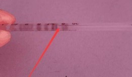 怎样看水银温度计视频,科学原理与使用技巧深度解析