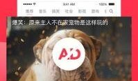 招摇西瓜视频,揭秘短视频新潮流