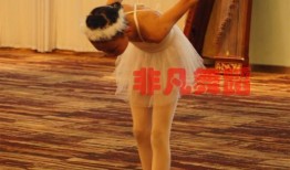 三岁宝宝舞蹈教学视频,跟随教学视频快乐舞动