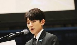 王源联合国演讲视频,青年力量助力全球可持续发展