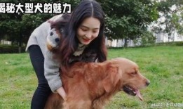 大狗粘女视频,萌态可掬画面引网友热议