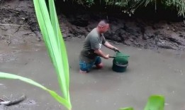 抽干水塘抓大鱼视频,轻松捕捉大鱼技巧揭秘