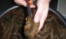 海参处理方法视频