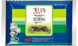 百草视频,探寻自然之美，感受生命力量