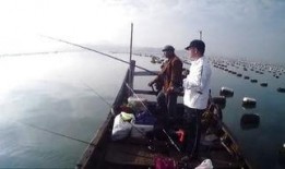 海钓浮钓教学视频,跟随教学视频轻松掌握