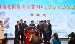 校园欺凌视频观后感,揭开黑暗面，呼唤关爱与正义