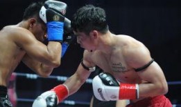 自由搏击视频,自由搏击视频中的精彩对决回顾