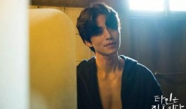 爱爱全部视频,情感与欲望的视觉盛宴