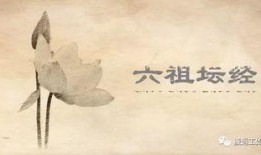 六祖坛经讲解视频,禅宗智慧的现代启示