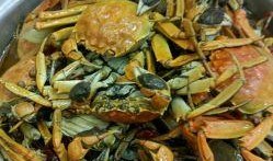 吃香辣螃蟹视频,一场视觉与味蕾的双重享受