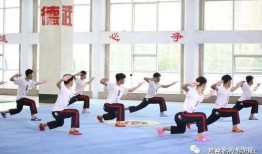 健身武术教学视频,轻松入门，强身健体