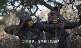 复合弓狩猎视频,精准射击与古老传统的现代演绎