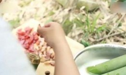 竹筒饭的做法视频教程,传统美味，一筒香飘四溢