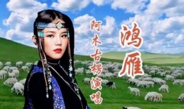 阿木古楞鸿雁视频,探寻草原文化的魅力与传承