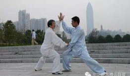 董虎岭太极拳视频,传承与创新的艺术展现