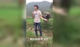 国产啪啪啪福利视频,激情四溢，揭秘国产影视幕后精彩瞬间